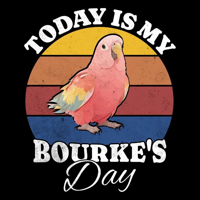 Perruche de Bourke