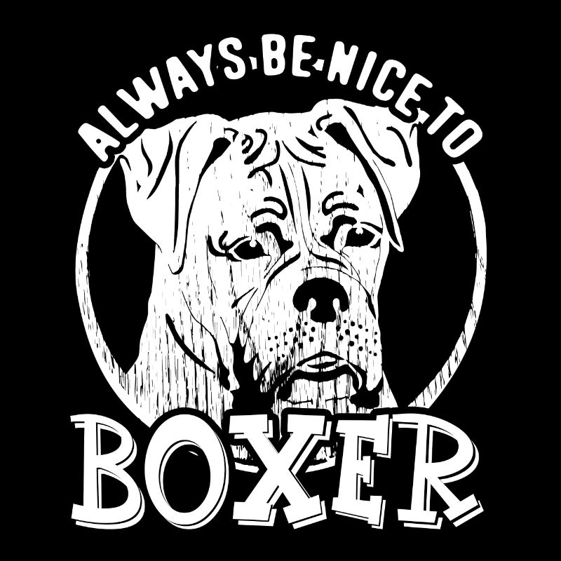 Always Be Nice To Boxer