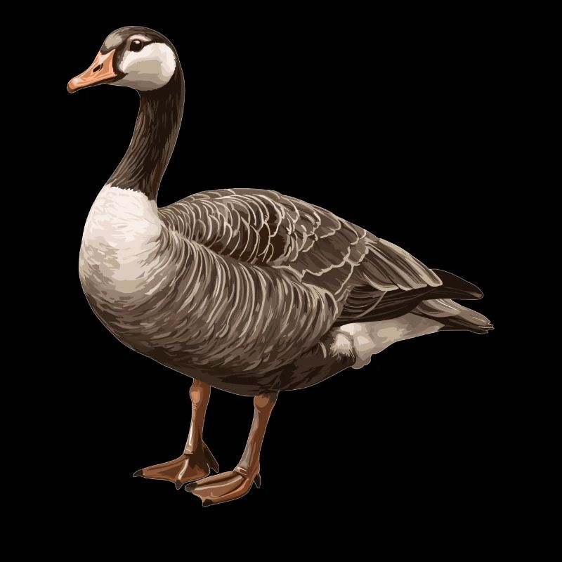 Gänse Gans