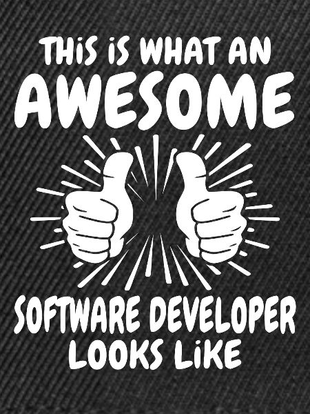 Software Entwickler