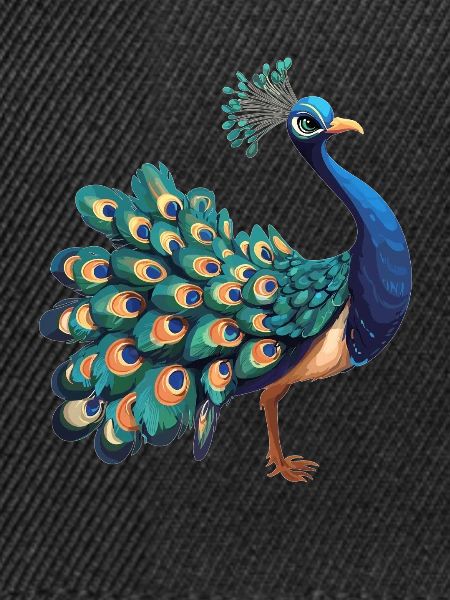 Pfaue Pfau