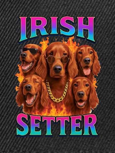Irish Setter