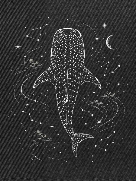 Walhai-Galaxie-Konstellation Astro