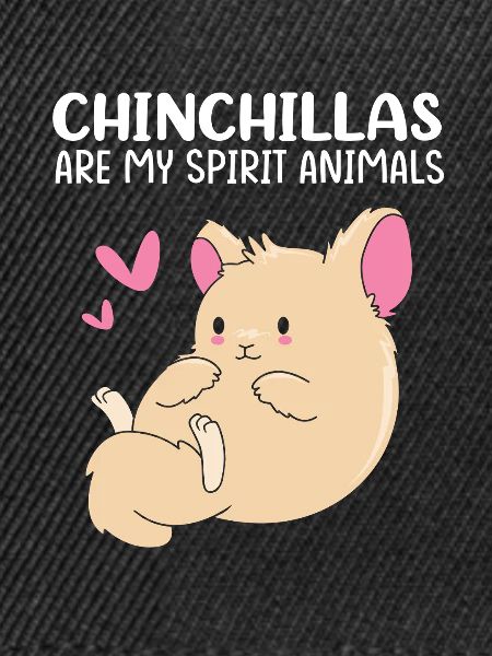 Chinchilla