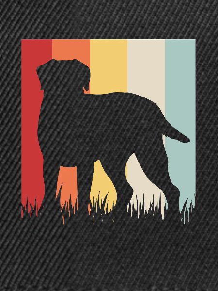 Chesapeake Bay Retriever