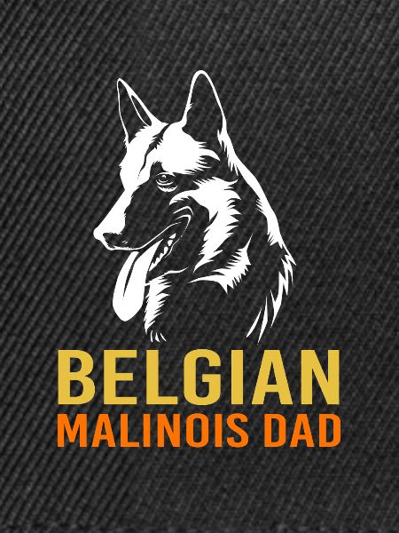 Belgischer Malinois
