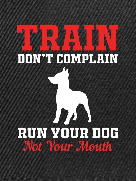 Hundetrainer
