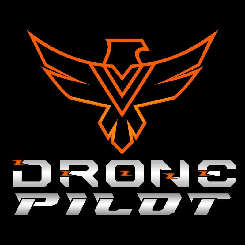 Drone Drones Drone Flight Drone Pilot