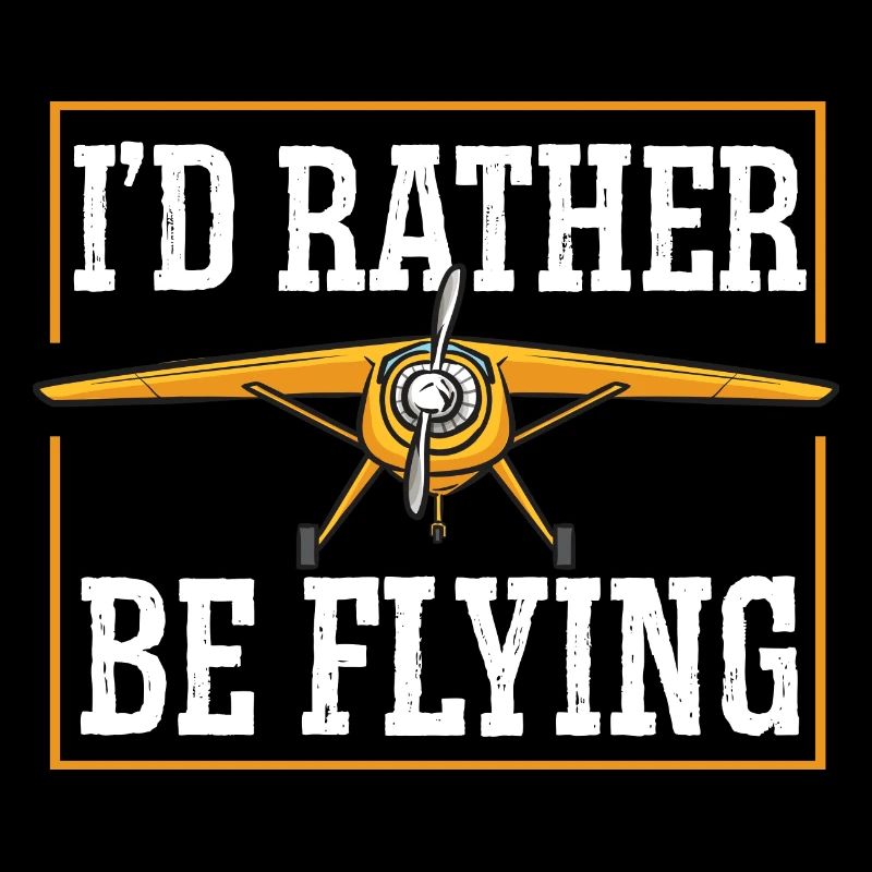 Modèle d’avion télécommandé