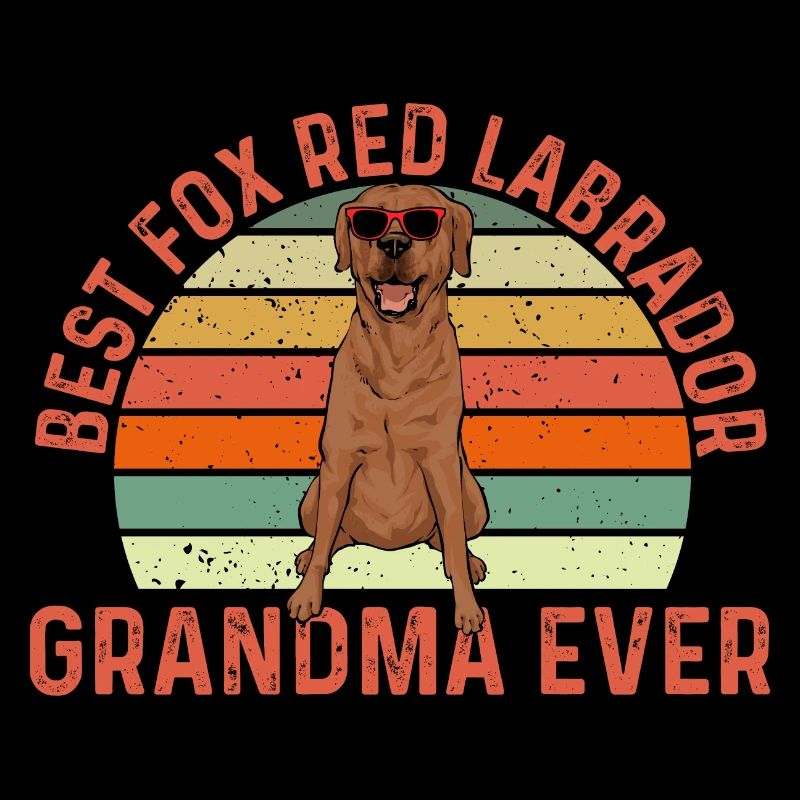 Foxred Labrador Fuchsroter Labrador Retriever