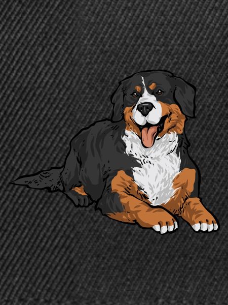 Berner Sennenhund