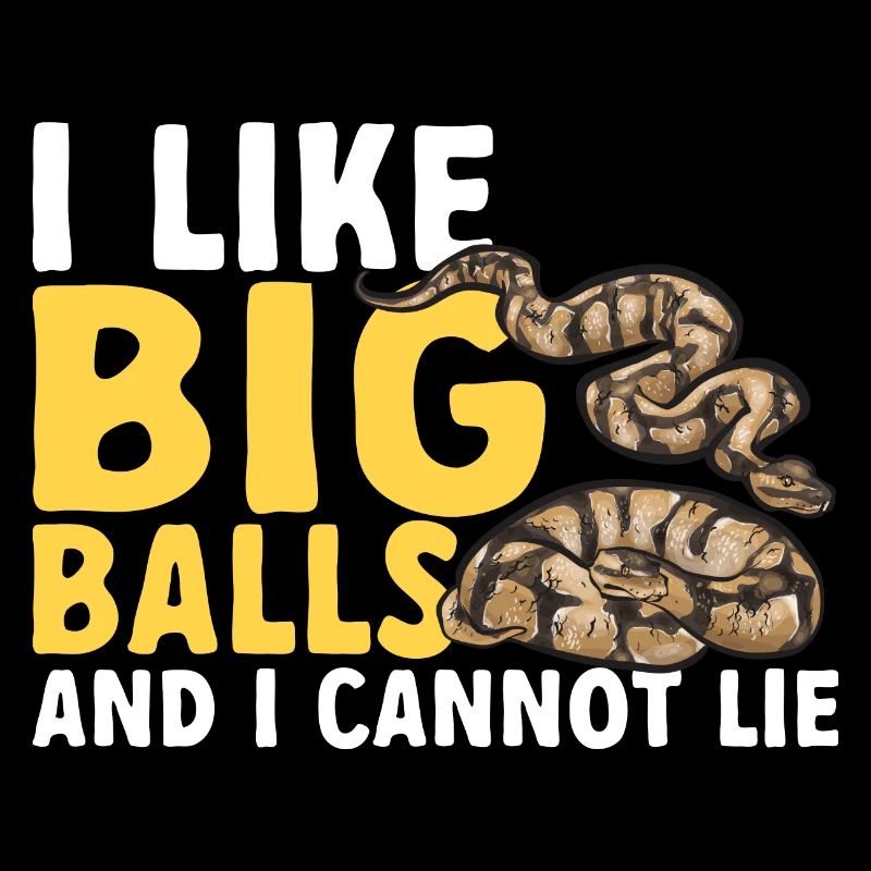 Ball Python Schlange Königspython