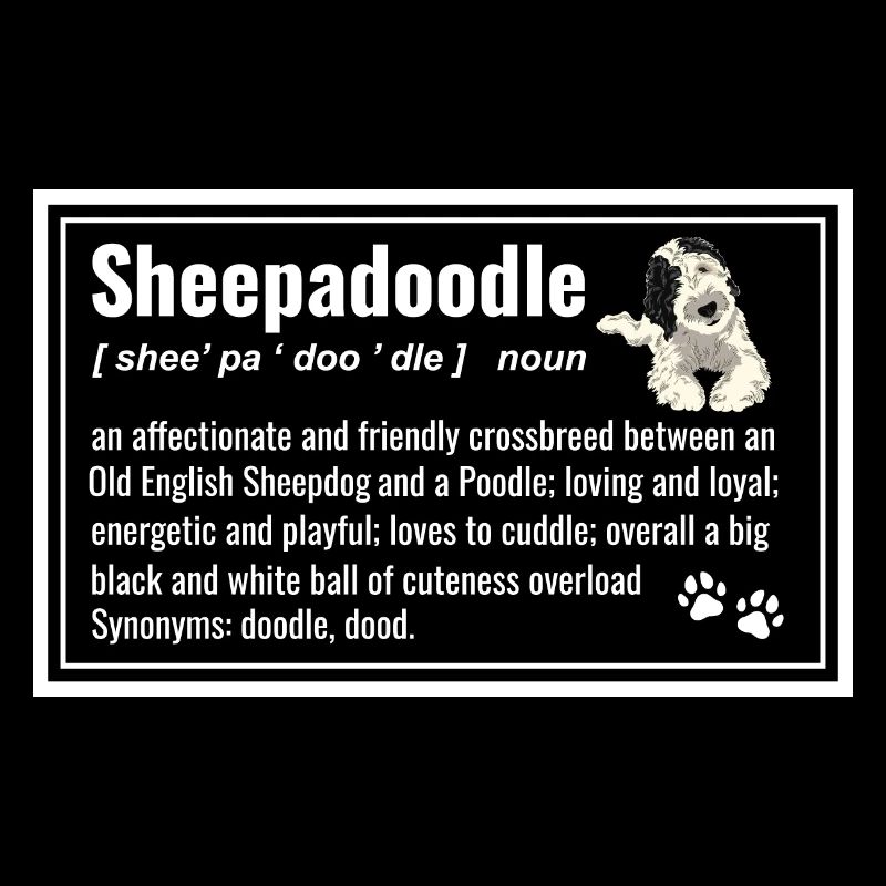 Sheepadoodle Doodle Dog