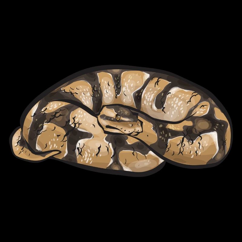 Ball Python Schlange Königspython