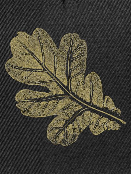 Eichenblatt - Blatt/ Eiche - Natur