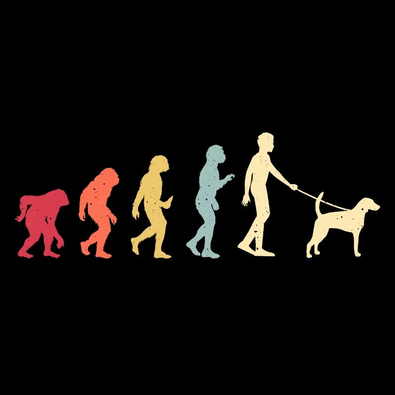 Français Foxhound Evolution Retro Vintage