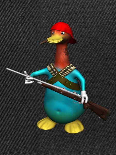 Hunting Duck