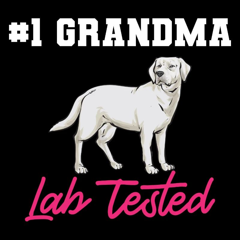 Labrador Retriever blanc Labrador Labrador blanc
