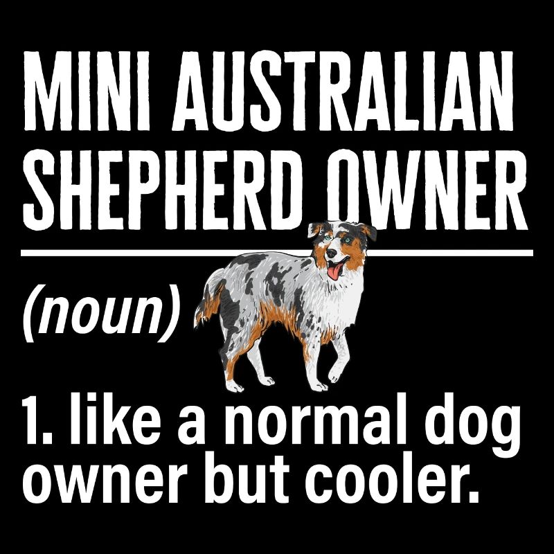 Miniature Australian Shepherd