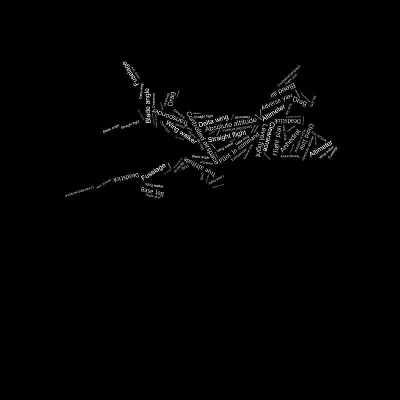 Pilot Flugzeug