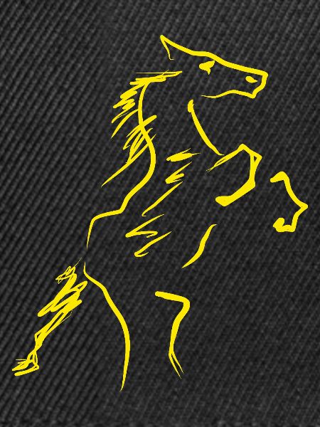 Pferd Reitsport Reiter