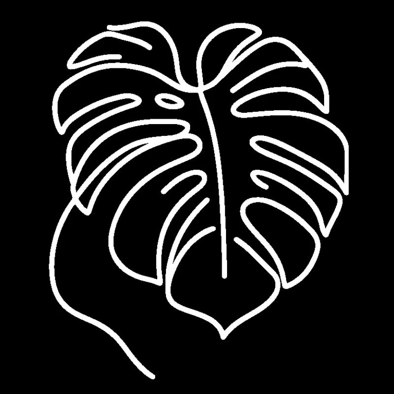 Monstera
