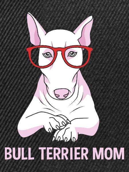 Bullterrier