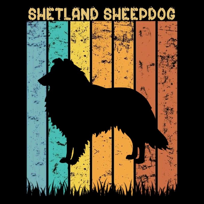 Shetland Schäferhund