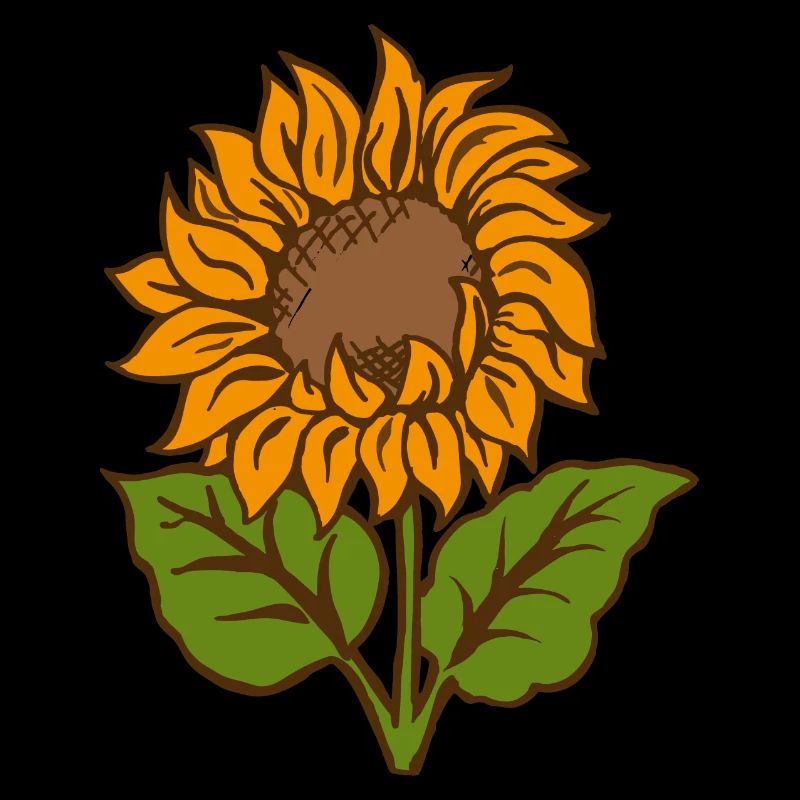 Sonnenblume