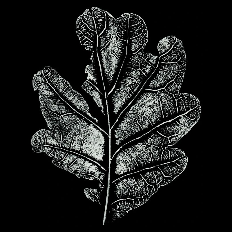 Blatt Eiche / Eichenblatt - Abdruck