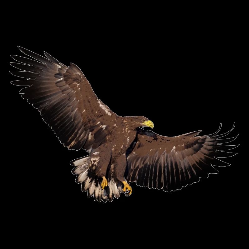 Adler spaehend