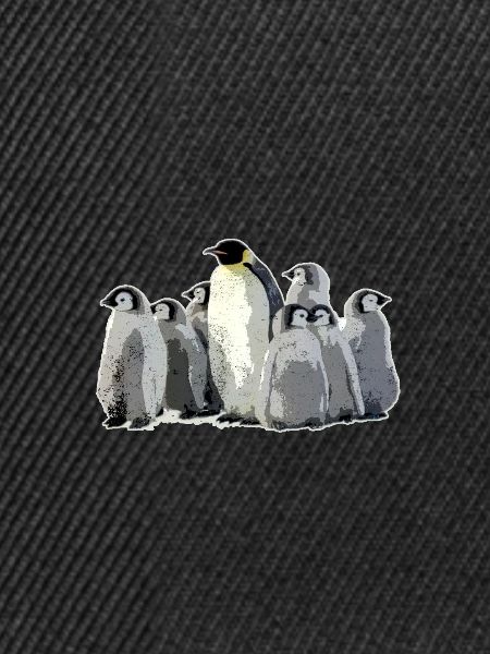 Pinguin-Vogel-Seeozean-Leben-Wassertier-Geschenk