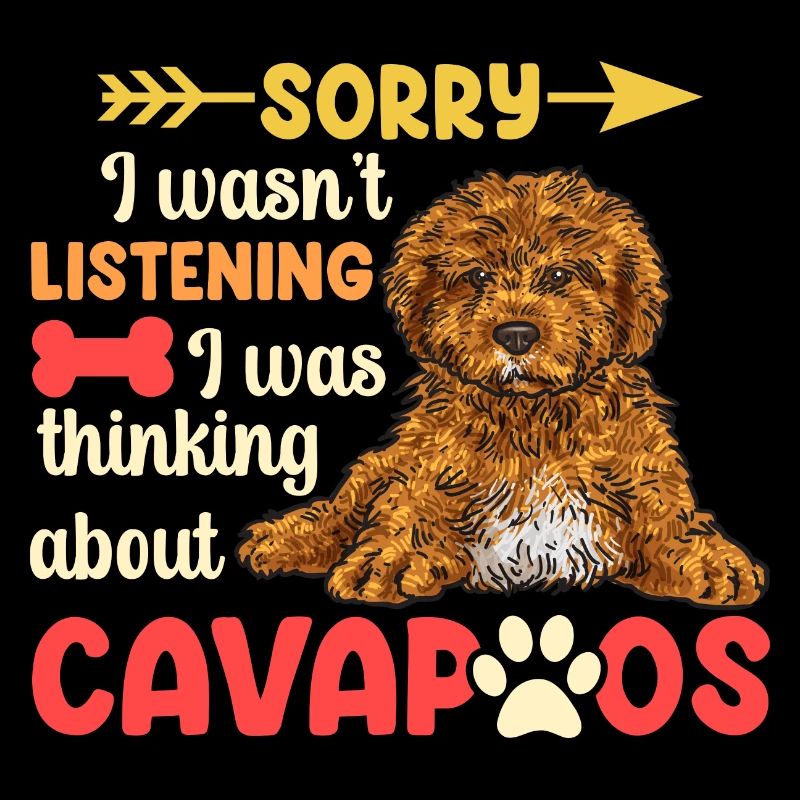 Cavapoo Cavoodle Capoodle Hund