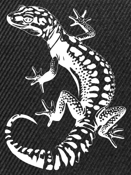 Gecko Silhouette Leopardgecko