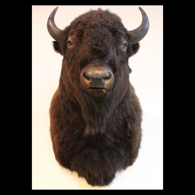 307430B8 A5A5 40AB 84A2 D8BC3F0CA397