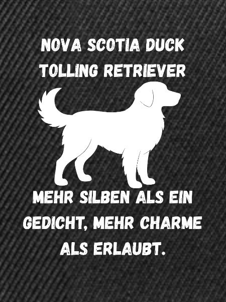 Duck Toller 