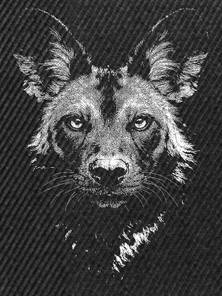 Afrikanischer Wildhund