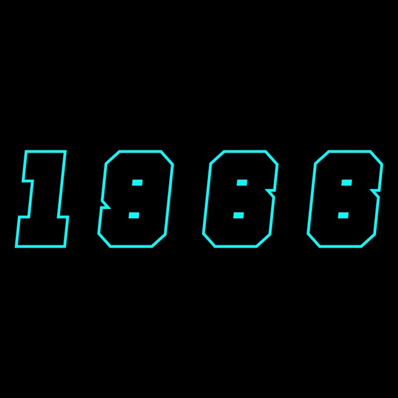 1966 Year Number