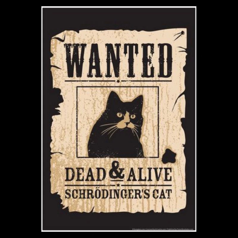 Schrodingers Katze