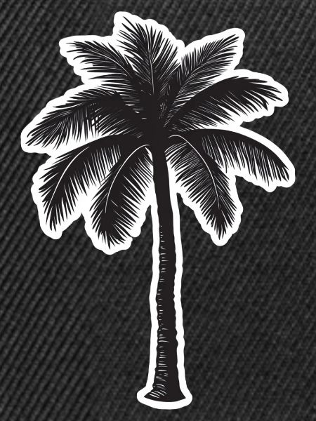 Palme