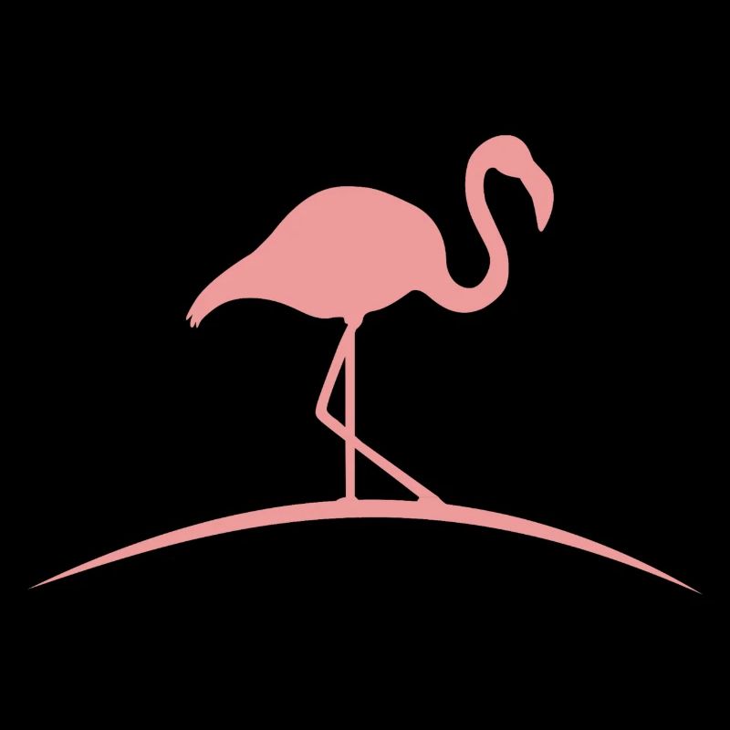 Flamingoo