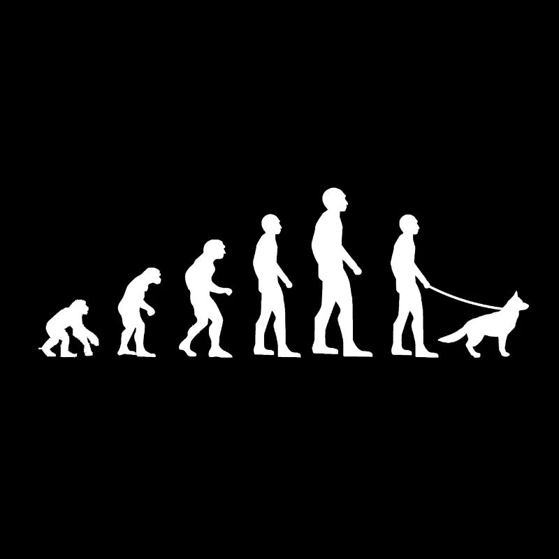 Evolution des chiens
