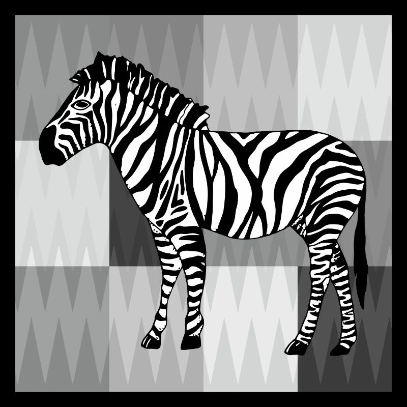 Zebra