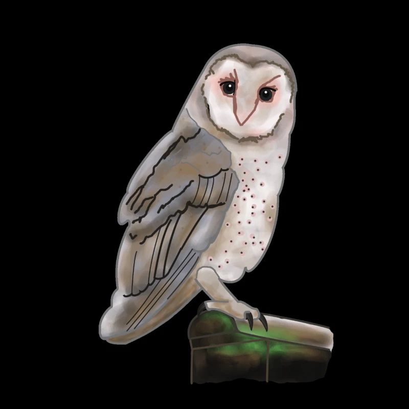 owl
