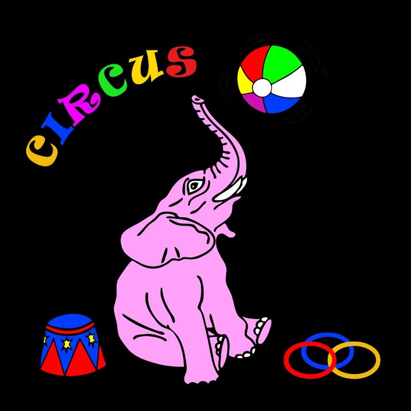 Circus