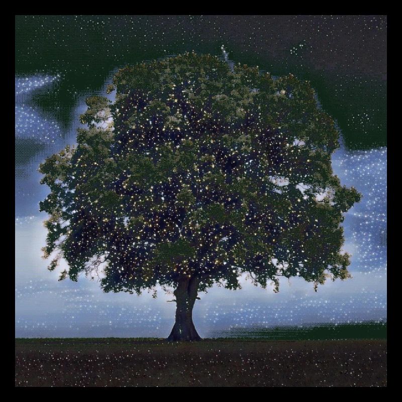 Sternenhimmel Baum