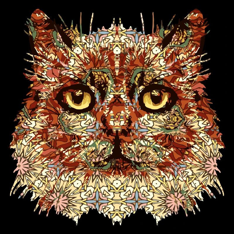 Chat