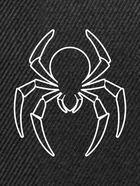 Spinne Spinnen Tiere