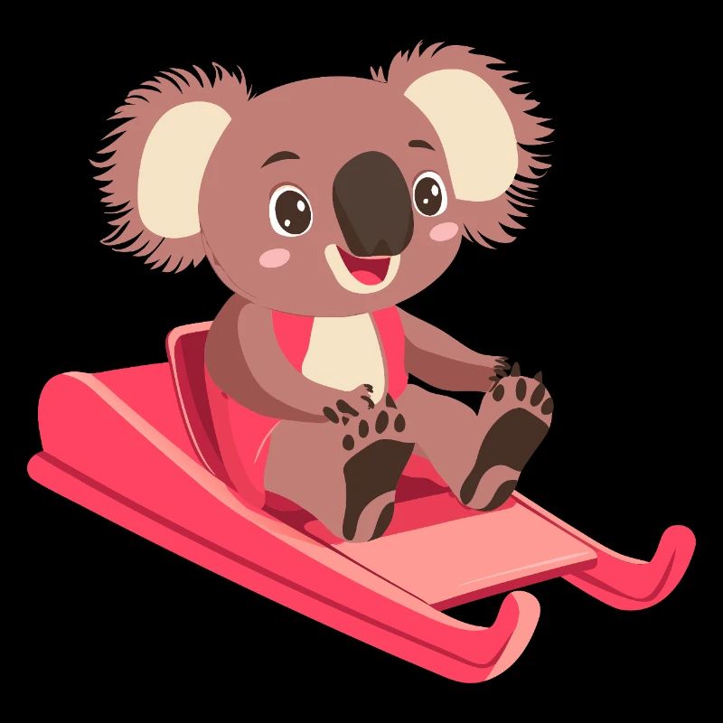 koala schlitten