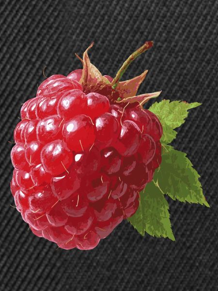 rote Himbeere